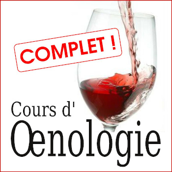 Oenologie